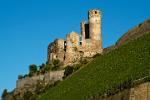 castle run, near Bingen and Rdesheim
