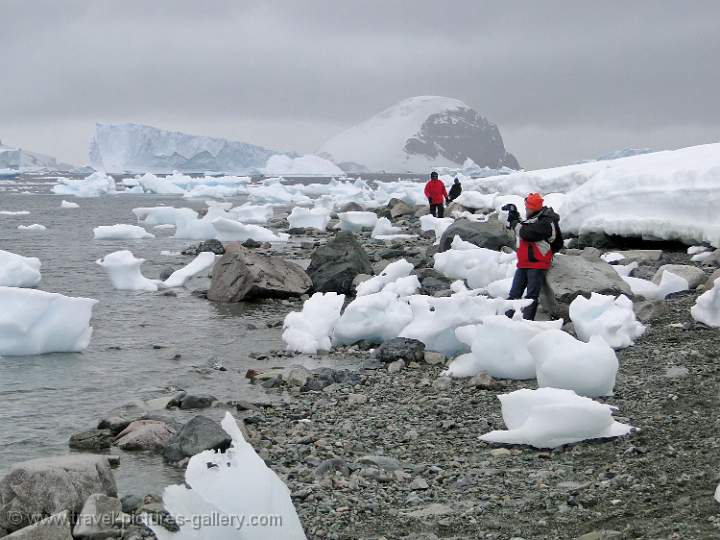 exploring Danco Island
