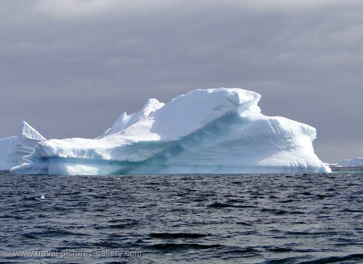 Pl�neau Bay iceberg