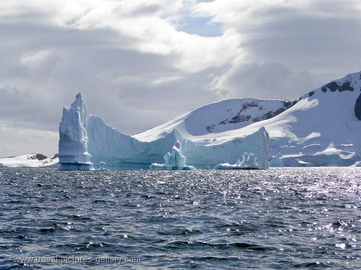 Pl�neau Bay icebergs