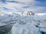 Pl�neau Bay