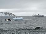 disembarking at Half Moon Island