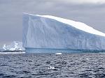 Pl�neau Bay icebergs