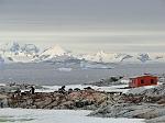 Petterman Island
