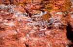 Opal, the reason for Coober Pedy's existence