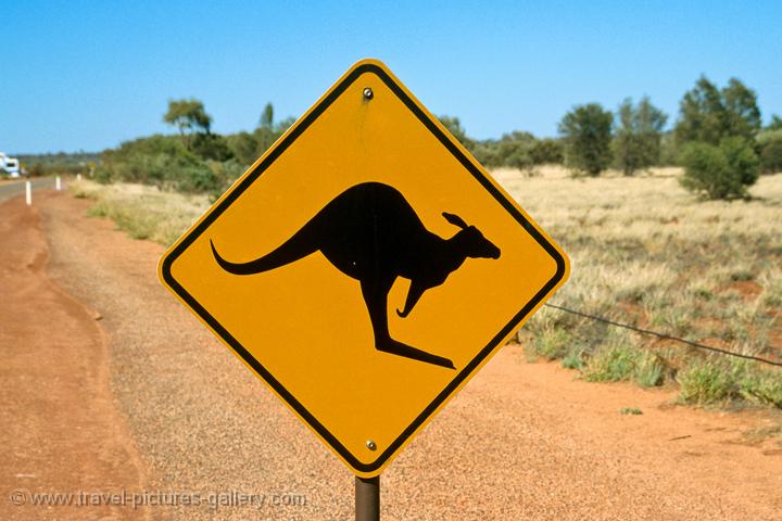 Kangaroo crossing sign