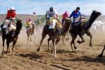 the Camel Cup race, Alice Springs