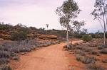 landscape near Alice Springs