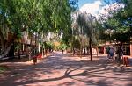 shady street, Alice Springs