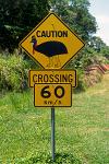 Cassowary crossing sign, Mission Beach