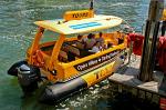 water taxi from the Opera House to Darling harbour
