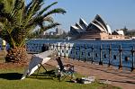 fishing near the Luna Park