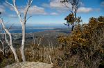 view from Mt Wellington, Queens Domain