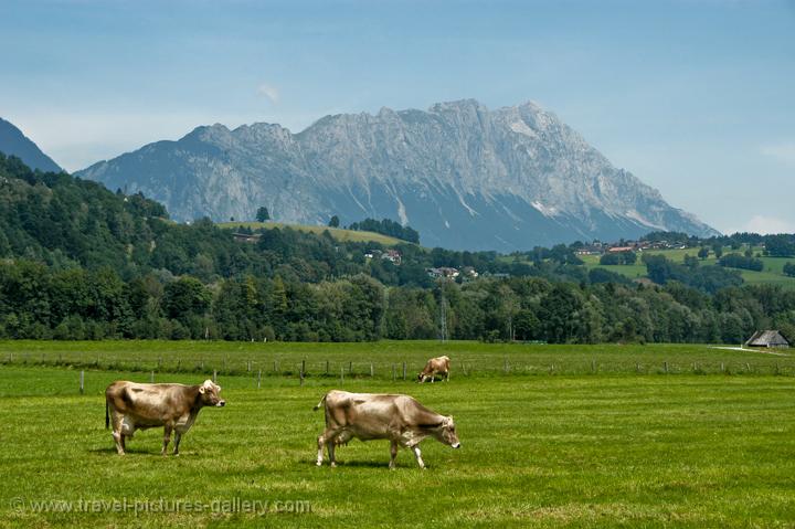 Austria - Countryside - Mountains - Enns Valley, National Park Kalkalpen