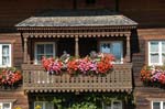 a balcony with geraniums