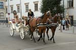 tour by Fiaker, horse carriage