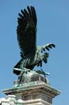 eagle statue, Buda Castle Palace