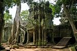 Ta Prohm temple, trees growing on the ruins
