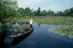 Hangzhou's famous West Lake (Xi Hu)