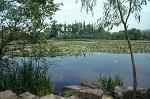 Hangzhou's West Lake (Xi Hu)