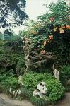 the gardens of Suzhou