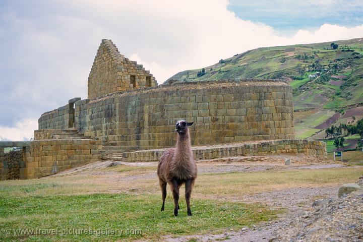 the largest known Inca ruins in Ecuador, the temple of the sun