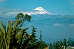 snow-capped Cotopaxi towers above the Quito valley