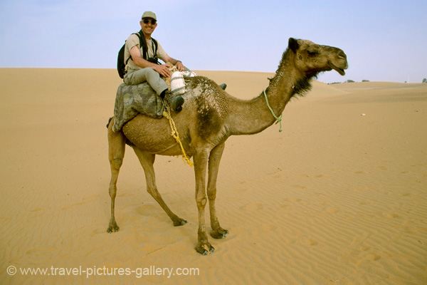tourist riding a camel at Daghla Oasis