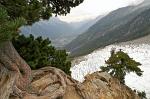 the Glacier des Bossons