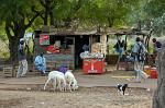 local bar at Janjanbureh