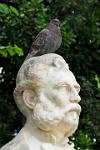 pigeon on a statue, National Gardens