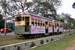 the ramshackle tram