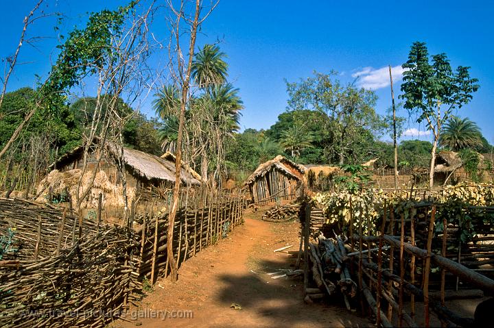 http://www.travel-pictures-gallery.com/images/india/orissa/orissa-0034.jpg