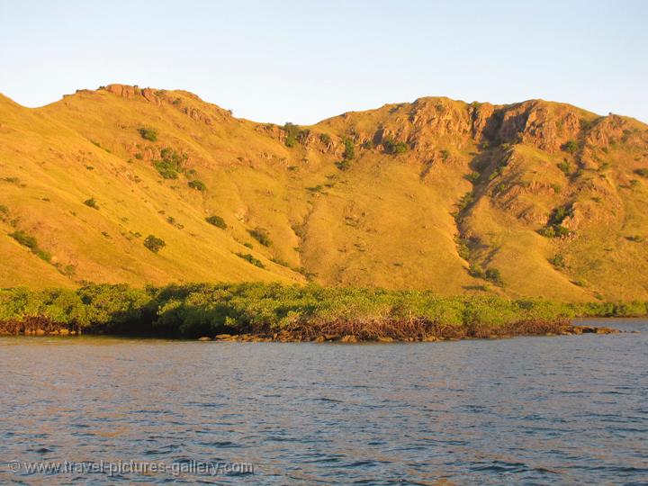 Nusa Tenggara- Lesser Sunda Islands, Komdodo's arid landscape