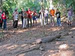 Komodo Dragon close encounters