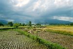 Gunung Rinjani shrouded in clouds