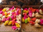 Pictures of Iran - Esfahan - painted chicks at the bird market