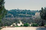 the Mount of Olives