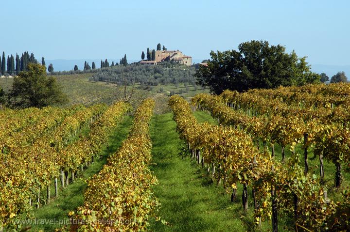the countryside around town, vineyards and olive groves