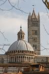 the Cathedral of Siena (Duomo), cupola and tower