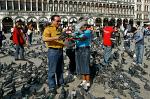 feeding pigeons on St. Mark's Square, (Piazza San Marco)