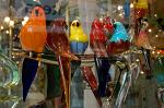 famous Venetian glass, parrots