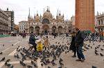 Basilica San Marco, St.Mark's Square, pigeon feeding