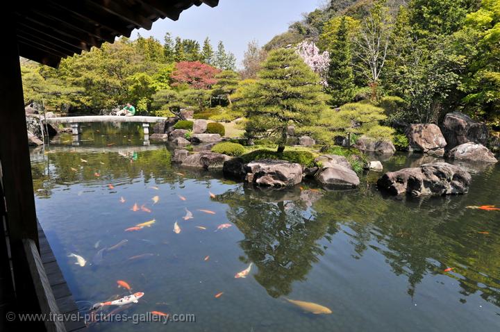 Pictures of Japan Himeji pond with Koi Carp Koko en Garden