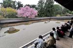 Ryoan-ji Zen Garden, dry landscape rock garden