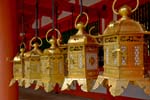 lanterns at the Kasuga Taisha Shrine