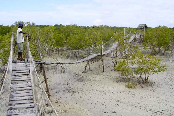 Mida Creek mangrove walk, Watamu