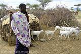 Masai with a herd of goats, Samburu N.P.