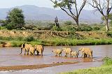 Pictures of Kenya by Heleen - elephants crossing the river, Samburu N.P.