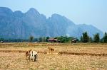 dry fields and limestone cliffs